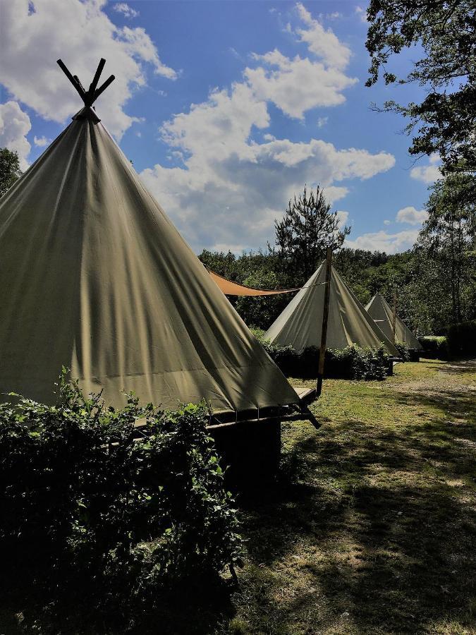 Camping Le Canada-Insolite Chiny Exteriér fotografie